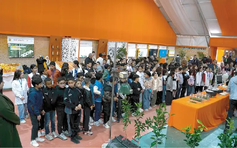 PIC-11