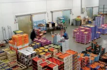 Export-des-fruits-et-legumes